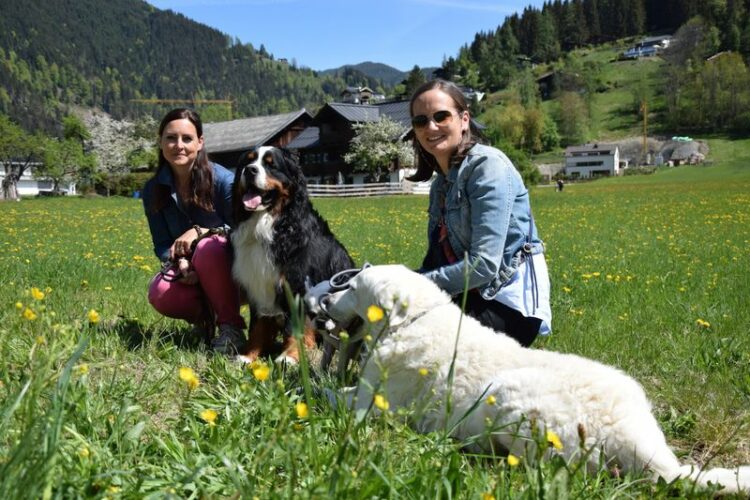 Erstausstattung für deinen Hund