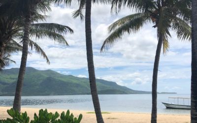 Mauritius Reisetagebuch: Unsere Highlights