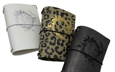 Reisepasshülle zu Travel Planner Travelfolio